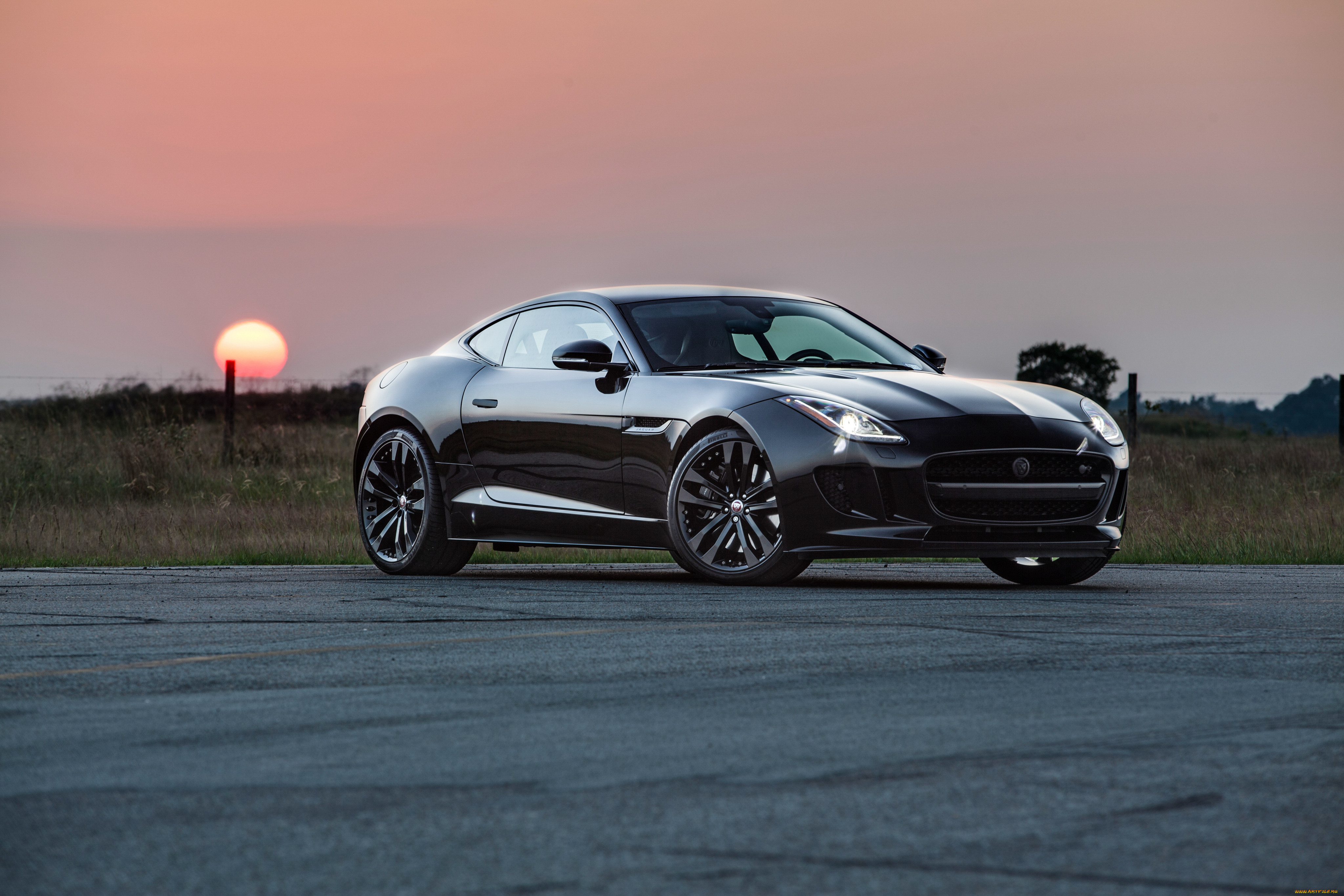 , jaguar